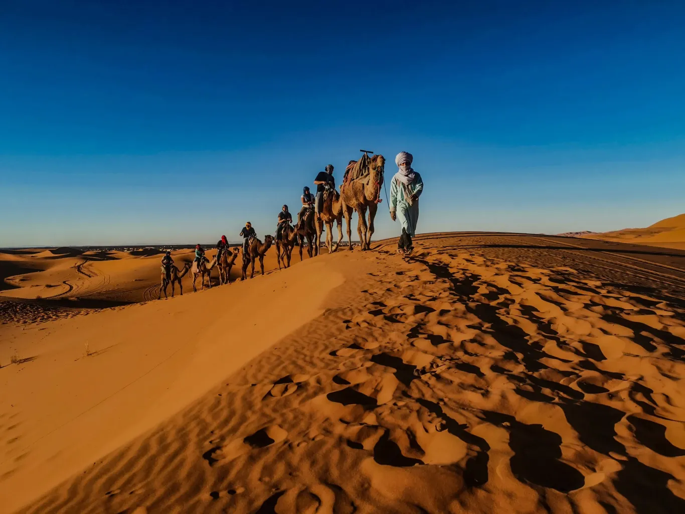 Guide et caravane de dromadaires sur les dunes marocaines