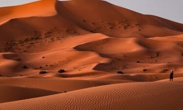 Paseo sahariano con camellos en el desierto marroquí de Ouarzazate