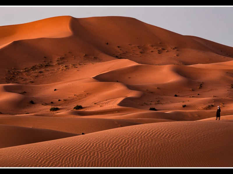 Erg_Chebbi_dunes_Morocco