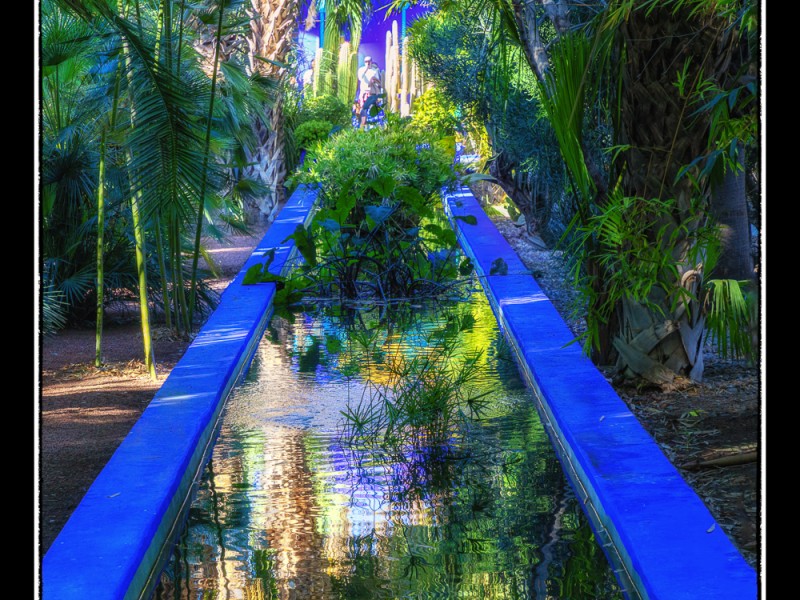 Jardin_Majorelle_1_Marrakech_Morocco