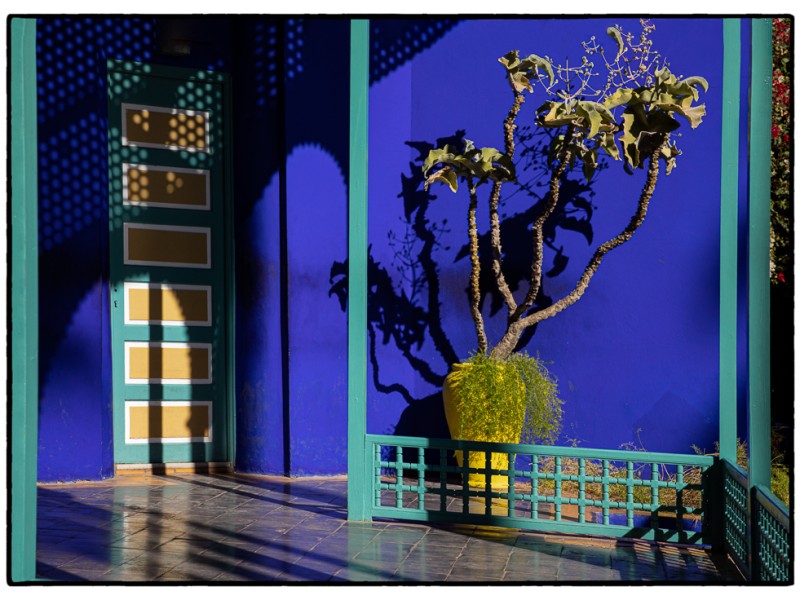 Jardin_Majorelle_4_Marrakech_Morocco