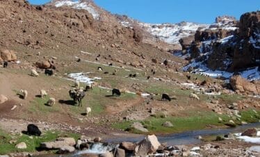 Trekking in the djebel Siroua