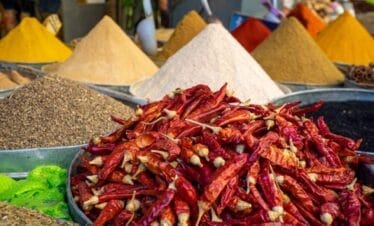 Visite de Marrakech avec un guide : The best of Marrakech