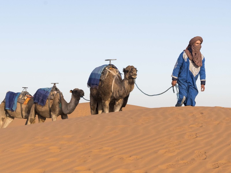 camel_trek_morocco_photo_charles_young