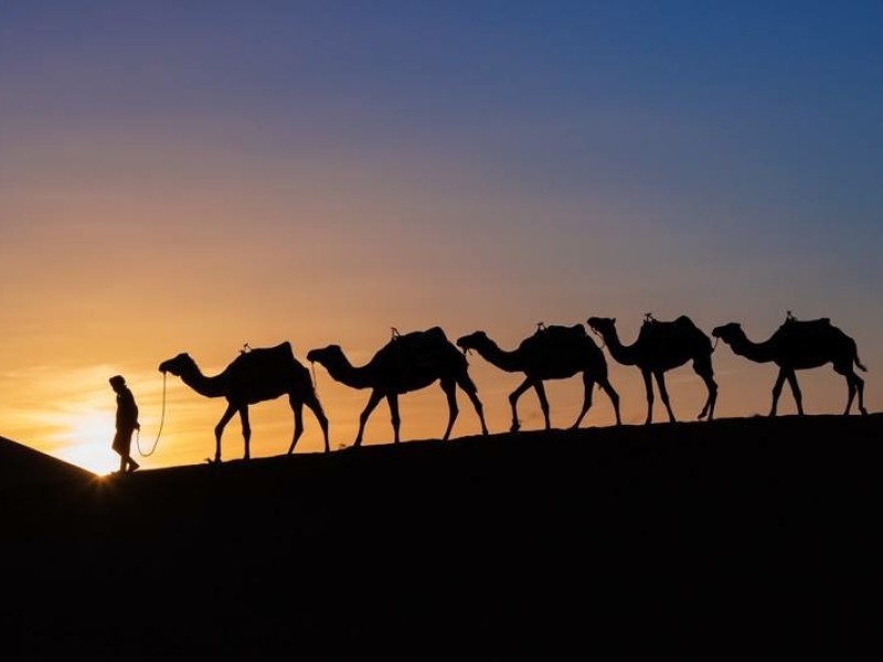 camel_trek_morocco_sunset