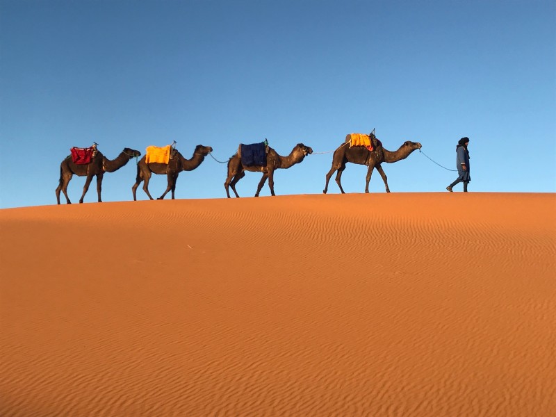 caravan_camel_trek_morocco