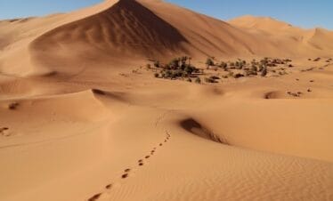 Paseo en camello en el desierto de Marruecos senderismo en el Erg Chebbi