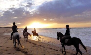 Excursión a caballo al sur de Essaouira