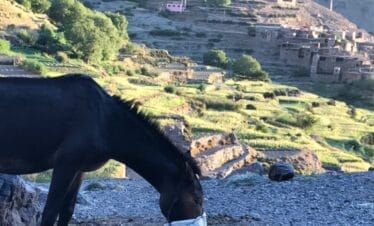 Circuit 4×4 au Maroc : La Cathédrale d’Ahançal & La vallée heureuse