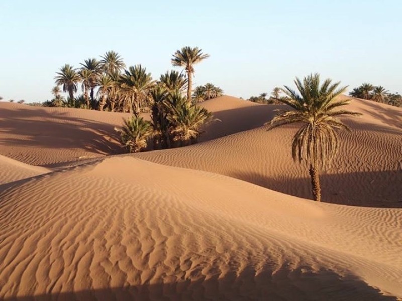 les_dunes_oued_draa