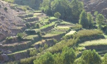 Excursion dans le haut Atlas : Une journée chez les Berbères du Haut Atlas