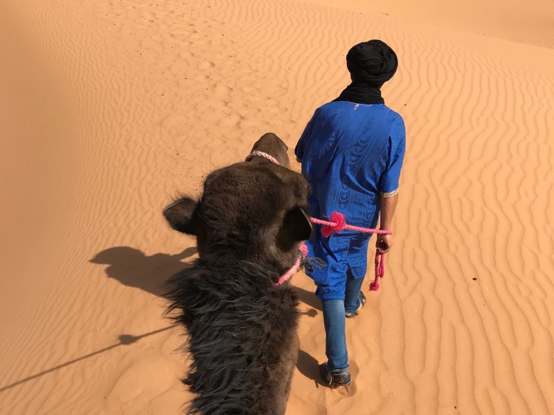 randonnee_avec_chameaux_dans_les_dunes_marocaines