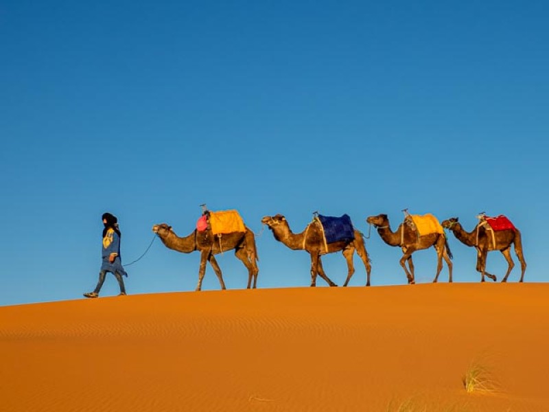 riding_camel_in_the_moroccan_desert_CheriAndersonMorocco_18