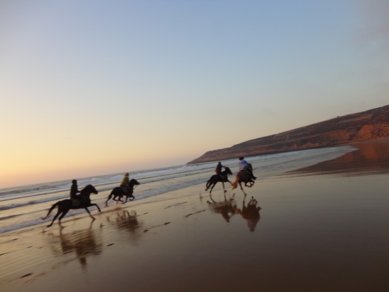 riding_horse_in_south_of_essaouira