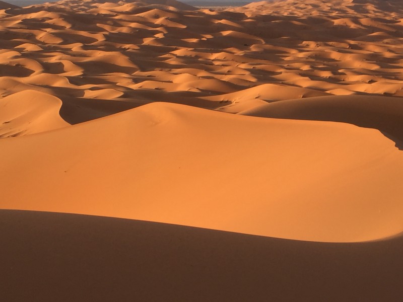 the_view_from_the_summit_of_the_dunes