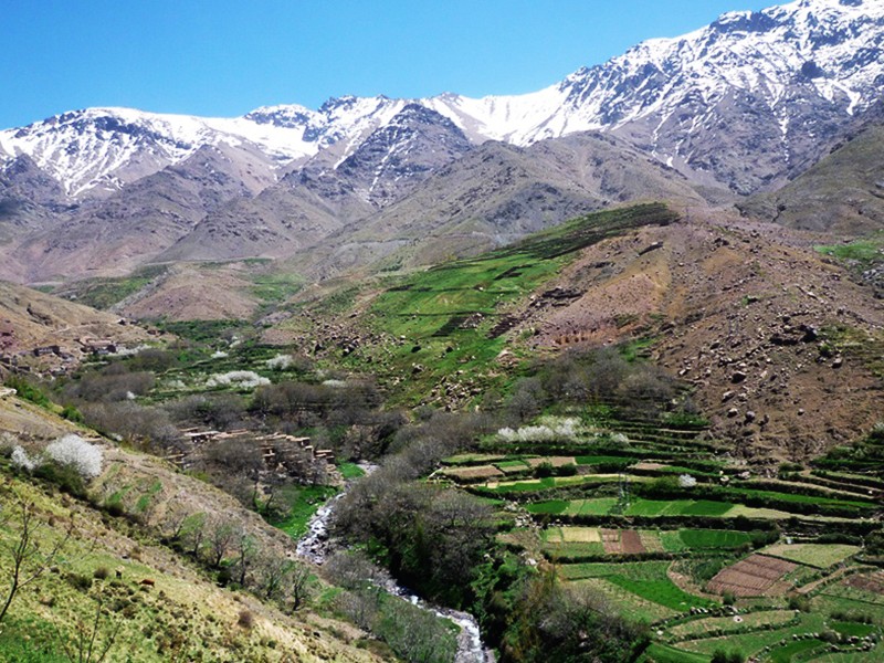 trek-region-toubkal