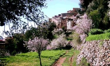 Excursion au Maroc : Agadir à Essaouira par la vallée de paradis