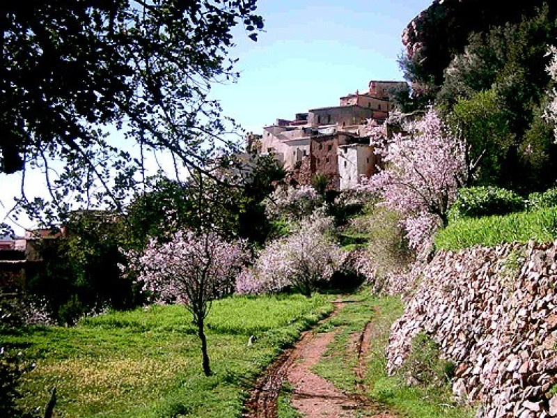 trekking_aux_pays_des_amandiers_maroc