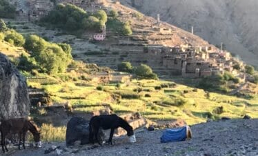 Trekking en el alto Atlas occidental con Ascensión del Toubkal en 8 días