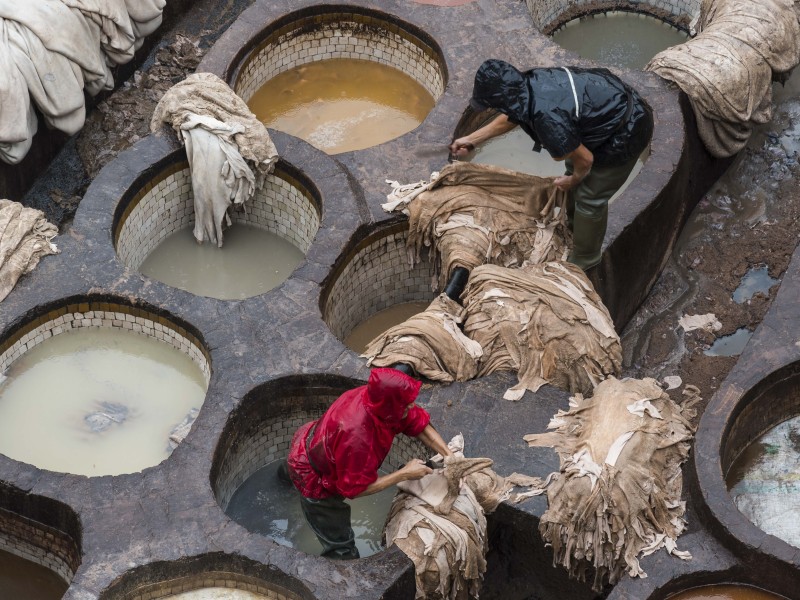 visite_fes_with_local_guide_photo_charles_young